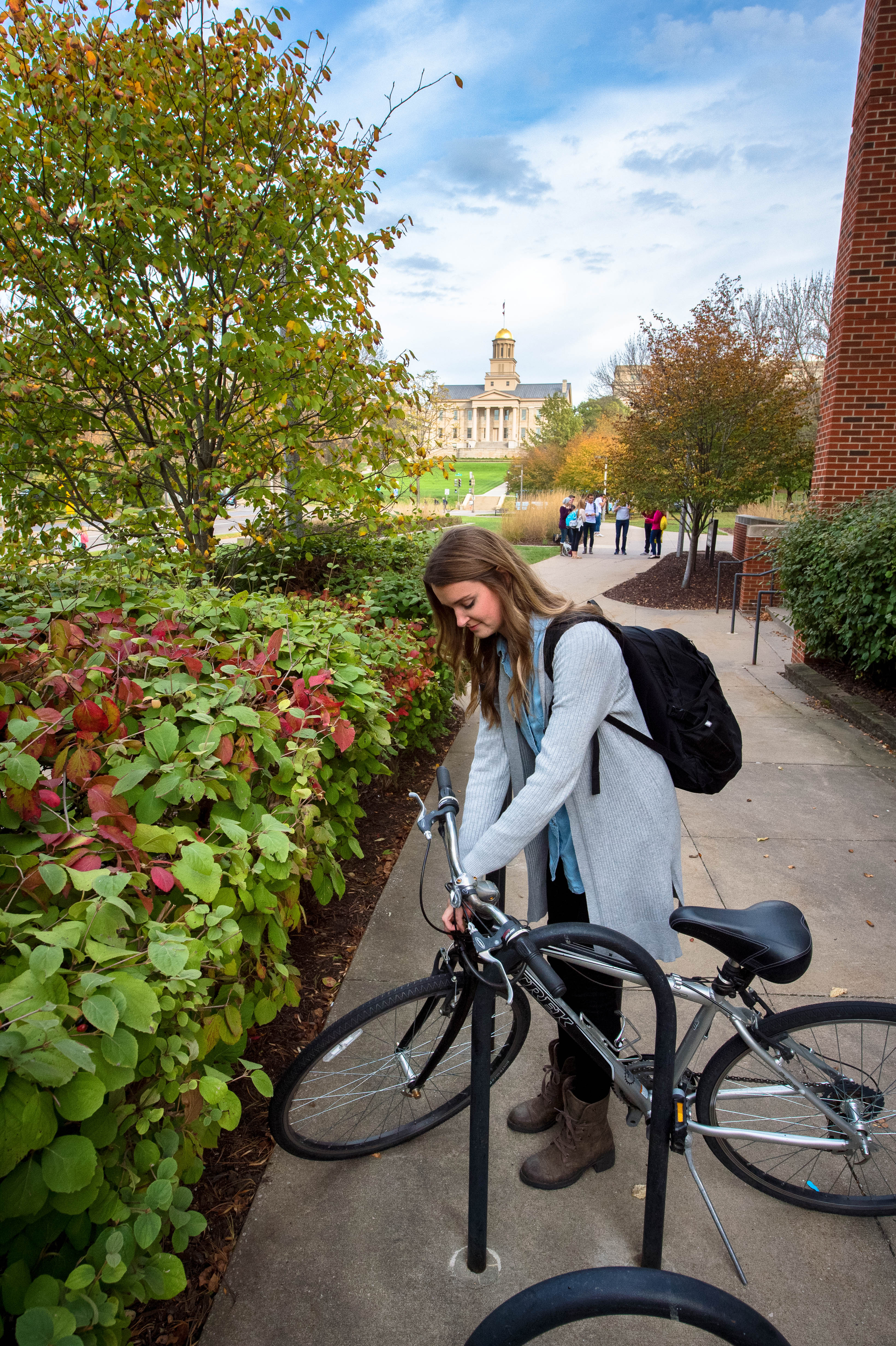 person wearing grey and light blue secures bicycle to rack using lock, university campus during spring with lots of green foliage and blue skies
