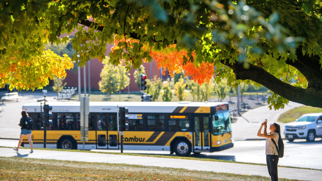 A woman takes a photograph of autumn leaves while a CAMBUS passes by in the background